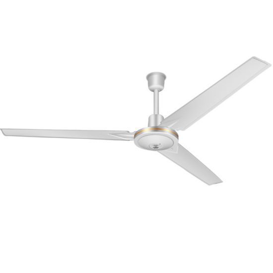 Ceiling fan