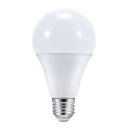 bulb