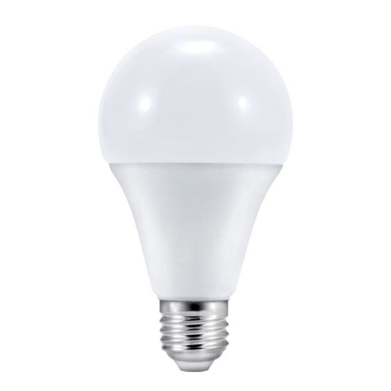 bulb