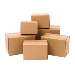 carton