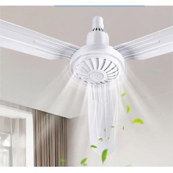 fan